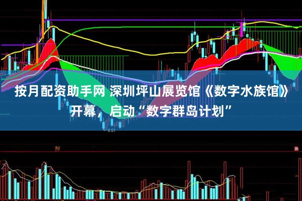按月配资助手网 深圳坪山展览馆《数字水族馆》开幕，启动“数字群岛计划”