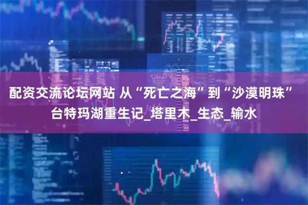 配资交流论坛网站 从“死亡之海”到“沙漠明珠” 台特玛湖重生记_塔里木_生态_输水