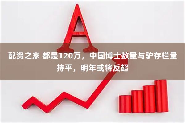 配资之家 都是120万，中国博士数量与驴存栏量持平，明年或将反超